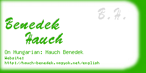 benedek hauch business card